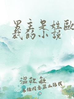 男主是姓欧的总裁的小说