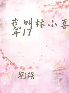 我叫林小喜 今年17