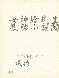 女神给我生了龙凤胎小说阅读全部