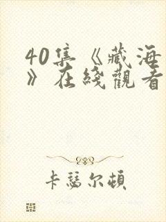 40集《藏海传》在线观看