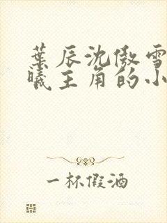 叶辰沈傲雪林若曦主角的小说