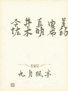 今井真由美和佐佐木明希的人妻交流会重制版