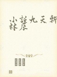 小说九天斩神诀林辰