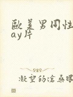 欧美男同性恋gay片