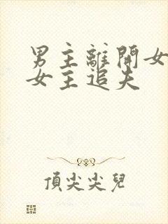 男主离开女主,女主追夫
