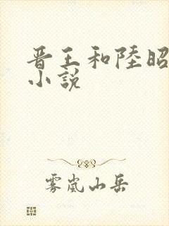 晋王和陆昭菱的小说