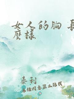 女人的胸 长什么样