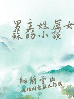 男主姓厉女主姓苏的小说