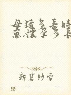 母猪多长时间下崽,怀孕多长时间