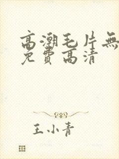 高潮毛片无遮挡免费高清