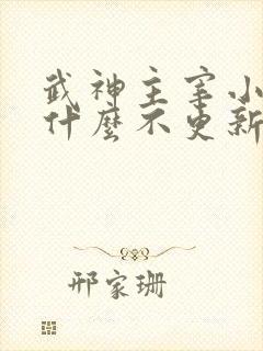 武神主宰小说为什么不更新了