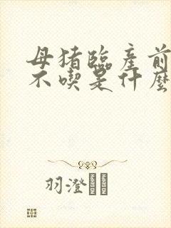 母猪临产前十天不吃是什么原因