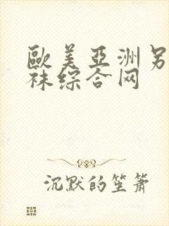 欧美亚洲另类丝袜综合网