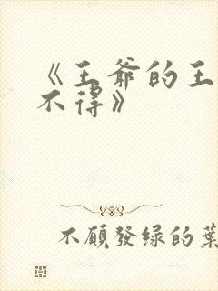 《王爷的王妃惹不得》