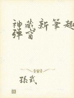 神藏新笔趣阁无弹窗