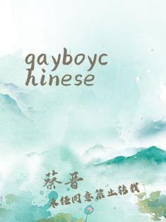 gayboychinese