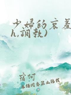 少妇的哀羞(高h,调教)