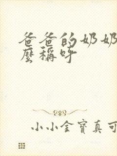 爸爸的奶奶叫什么称呼