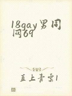 18gay男同网69