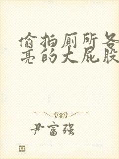 偷拍厕所各种漂亮的大屁股