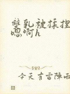 双乳被揉捏玩弄嗯啊h