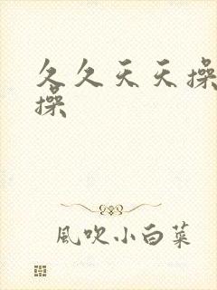 久久天天操夜夜操