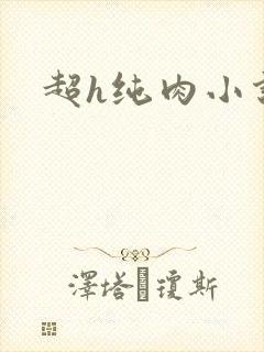 超h纯肉小说