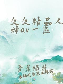 久久精品人妻少妇av一区