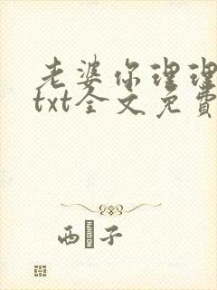 老婆你理理我啊txt全文免费阅读