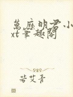 万历明君小说txt笔趣阁