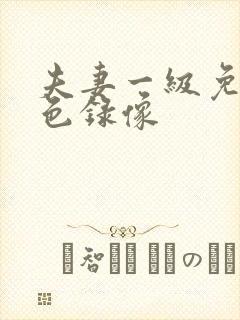 夫妻一级免费黄色录像