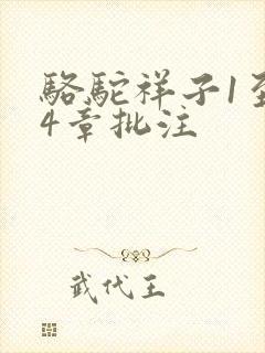 骆驼祥子1至24章批注