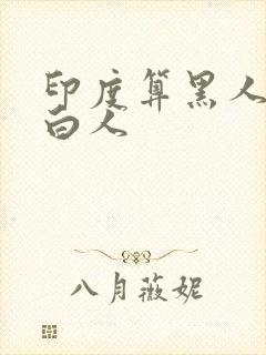 印度算黑人还是白人