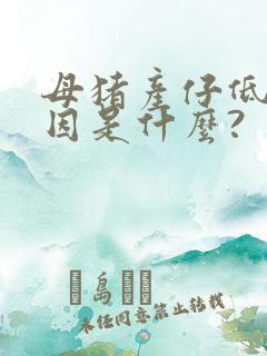 母猪产仔低的原因是什么?