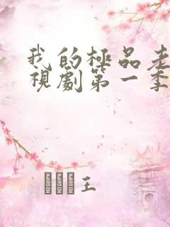 我的极品老婆电视剧第一季免费观看