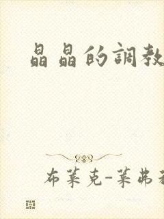 晶晶的调教日记