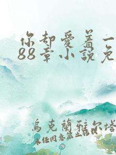 你却爱着一个他88章小说免费阅读