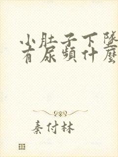 小肚子下坠胀痛有尿频什么原因