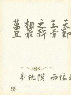 万相之王天蚕土豆最新章节列