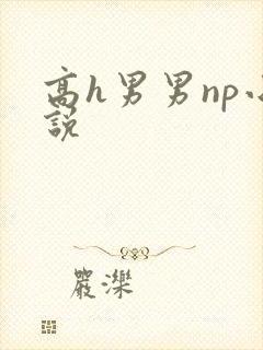 高h男男np小说