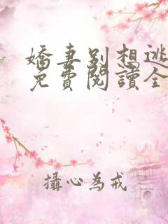 娇妻别想逃全文免费阅读全文