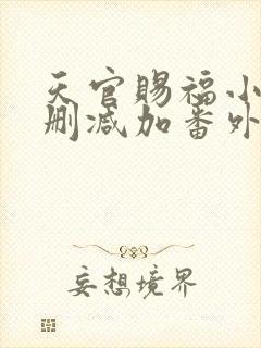 天官赐福小说无删减加番外txt