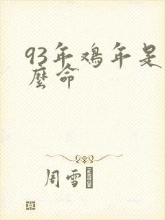 93年鸡年是什么命