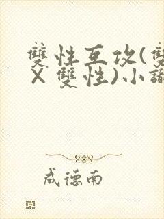双性互攻(双性×双性)小识