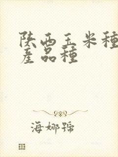 陕西玉米种子高产品种