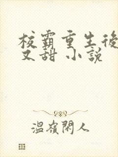 校霸重生后又撩又甜 小说