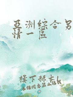 亚洲综合另类激情一区