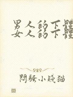 男人的下体插入女人的下体视频