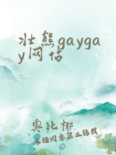 壮熊gaygay网站