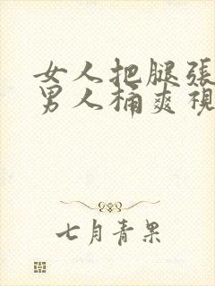 女人把腿张开让男人桶爽视频